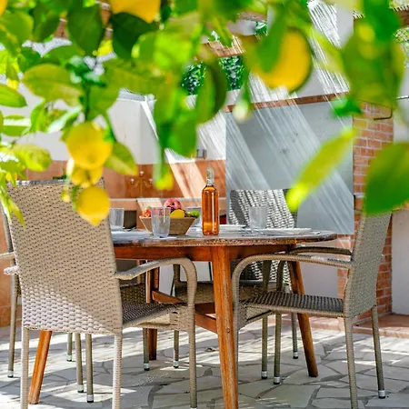 Tulipanes By Interhome Willa